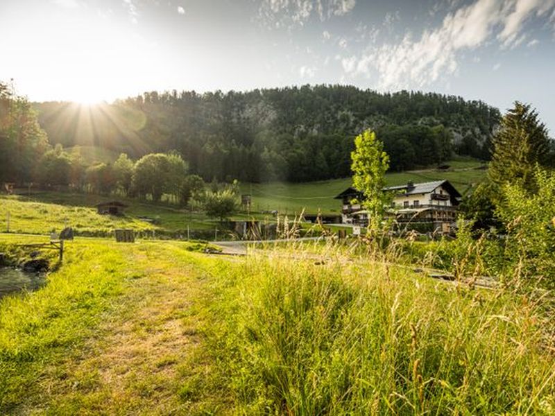 18705023-Doppelzimmer-3-Strobl-800x600-2