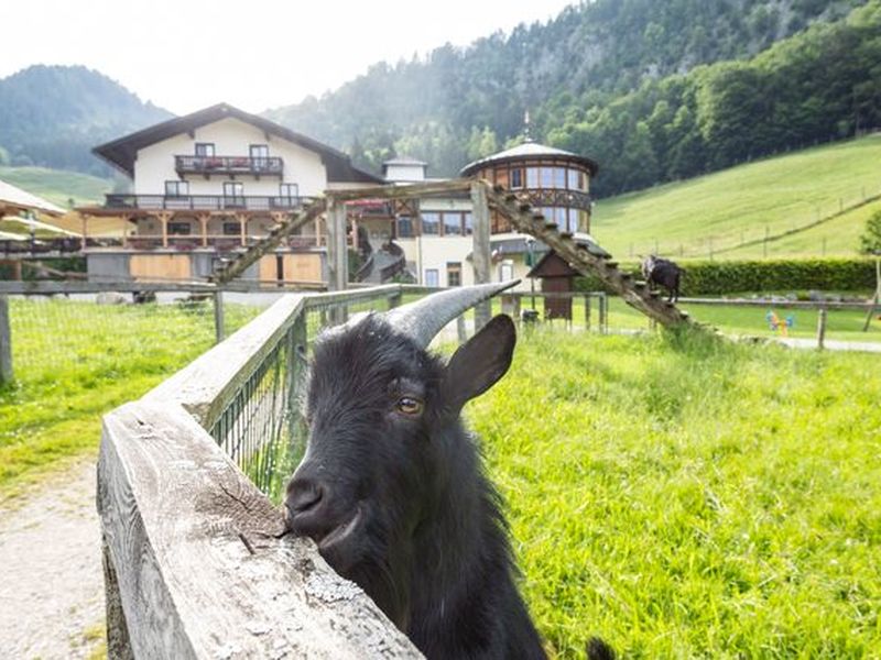 18705023-Doppelzimmer-3-Strobl-800x600-1