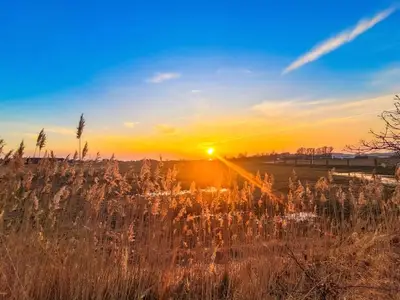 Doppelzimmer für 2 Personen (20 m²) in Thiessow 6/10