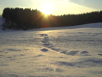Dreiburgensee