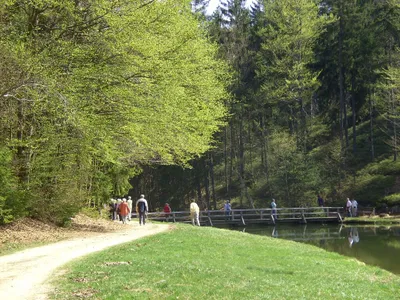 Buchwiesweiher