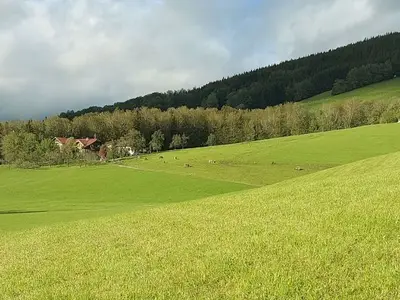 Doppelzimmer für 3 Personen (30 m²) in Tiefgraben 10/10