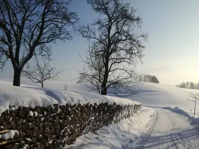 Doppelzimmer für 3 Personen (30 m²) in Tiefgraben 4/10