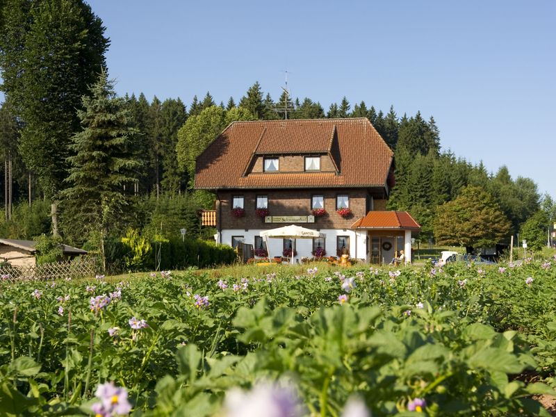 19044299-Doppelzimmer-2-Titisee-Neustadt-800x600-0