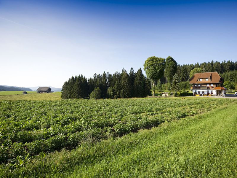 19044299-Doppelzimmer-2-Titisee-Neustadt-800x600-1