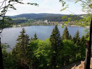 23490563-Doppelzimmer-2-Titisee-Neustadt-300x225-1