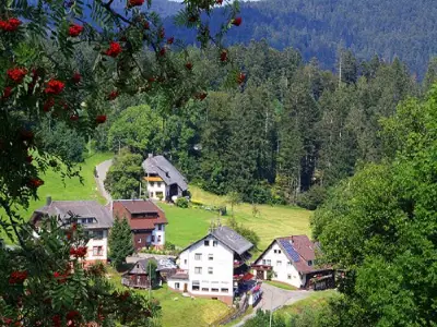Blick auf die Pension Sternen