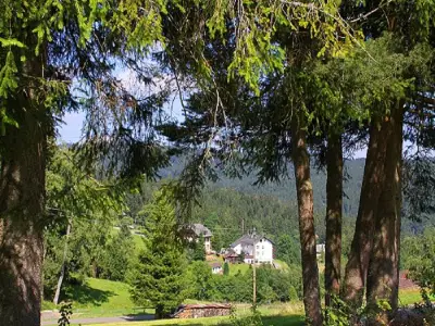 Blick in das Tal