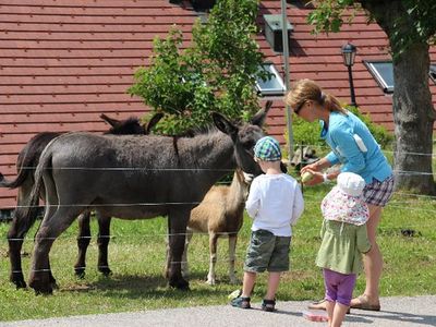 Doppelzimmer für 2 Personen in Todtnau 2/10