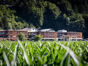 Doppelzimmer für 2 Personen (25 m²) in Treffen