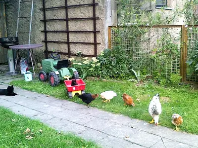 Doppelzimmer für 3 Personen (16 m²) in Tribsees 9/9