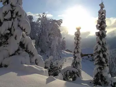 Doppelzimmer für 2 Personen in Trin 2/10
