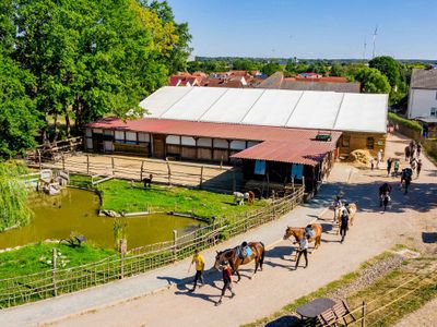 Reiter führen ihre Pferde auf den Reitplatz