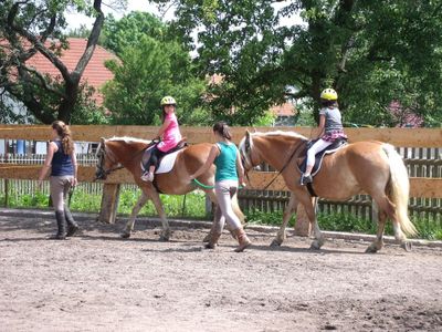 Reitunterricht auf dem Reitplatz