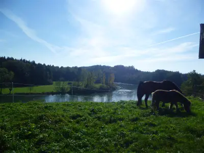 Blick zur Alz