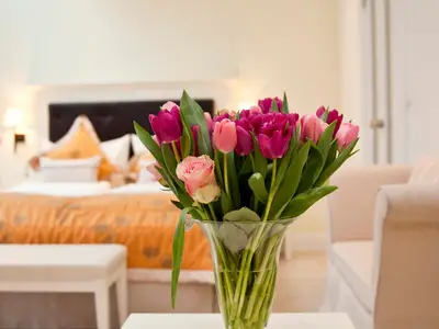 Doppelzimmer für 2 Personen in Tübingen 10/10