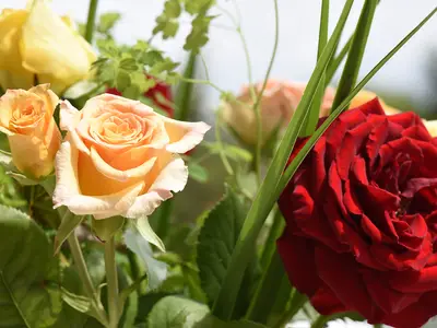 Doppelzimmer für 2 Personen in Tübingen 2/9