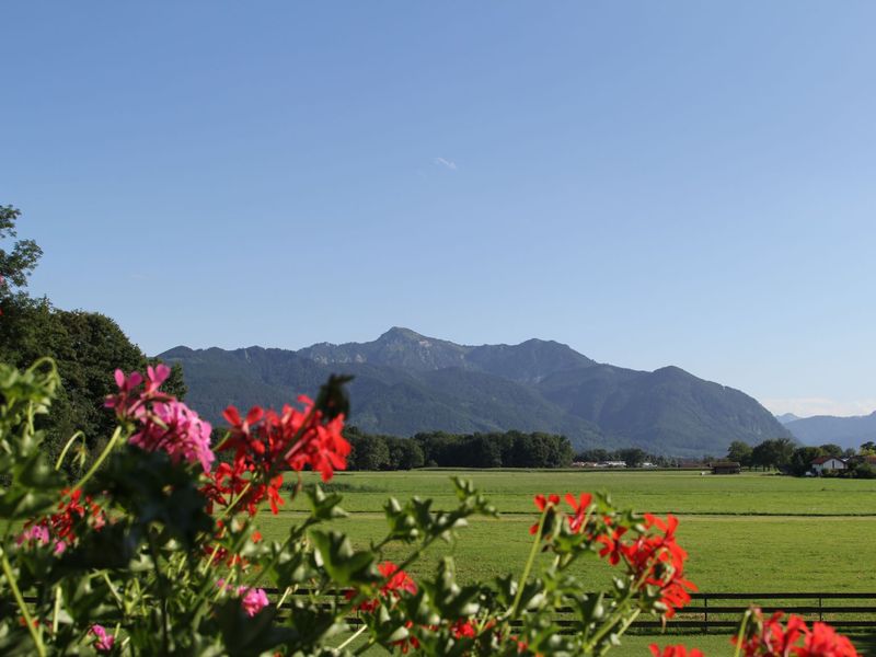 23307329-Doppelzimmer-3-Übersee-800x600-2