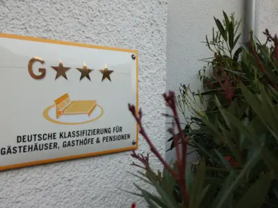 Klassifizierung