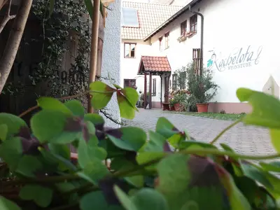 Eingang Weinstube Kachelofa