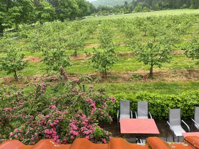 Blick aus dem Fenster im Sommer
