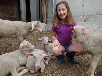 Doppelzimmer für 2 Personen (35 m²) in Vorderstoder 2/10