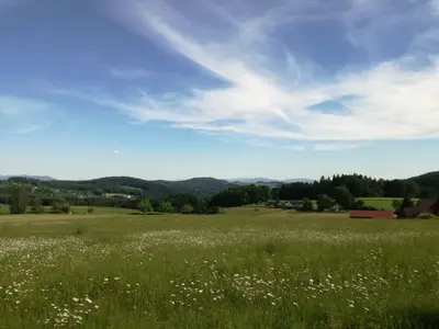 bl-hende-bio-wiesen-2