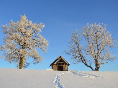 Strahlend blauer Himmel im Winter