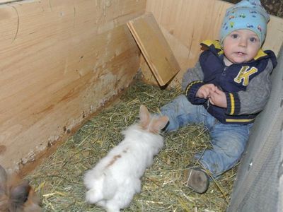 Auch die Hasen sind neugierig auf die kleinsten Besucher