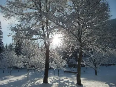 Doppelzimmer für 2 Personen in Waidring 6/10