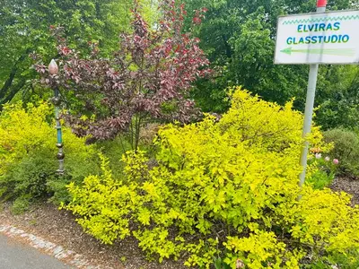 Doppelzimmer für 3 Personen (26 m²) in Waischenfeld 8/10