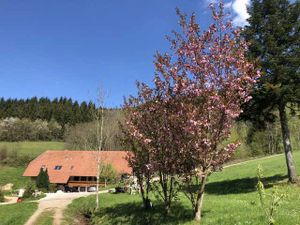 Doppelzimmer für 3 Personen (32 m²) in Waldkirch