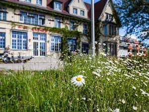 Doppelzimmer für 2 Personen (25 m&sup2;) in Waren (Müritz)