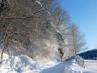 Winter / Foto: Hauer Fritz