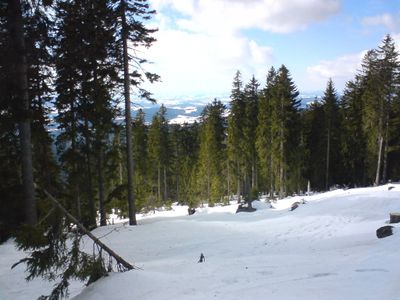 Hochficht / Foto: Hauer Fritz