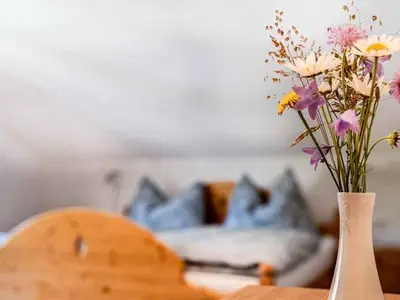 Doppelzimmer für 2 Personen in Weyregg am Attersee 8/10