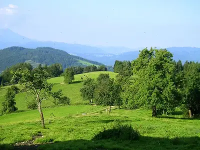 Doppelzimmer für 2 Personen (22 m²) in Weyregg am Attersee 3/7