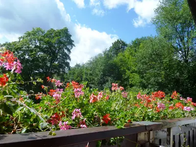 Blick vom Balkon