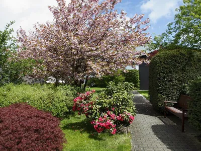 Gartenpark