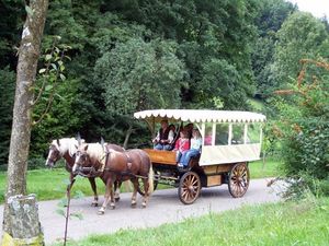 18778003-Doppelzimmer-2-Winden im Elztal-300x225-3