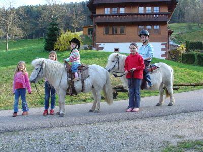 Doppelzimmer für 2 Personen in Wolfach 7/7