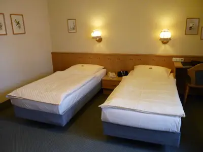 Einzelzimmer für 1 Person (22 m²) in Abtswind 3/7