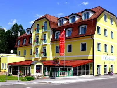 Einzelzimmer für 1 Person (15 m²) in Aigen im Ennstal 1/10