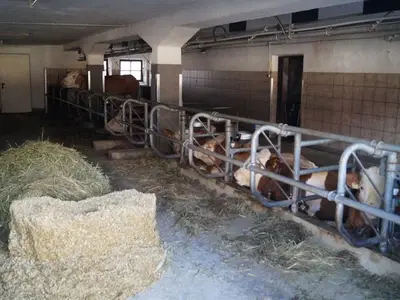Einzelzimmer für 1 Person in Aldrans 7/10