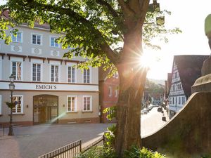 Einzelzimmer für 1 Person (17 m²) in Amorbach