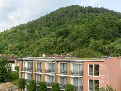 Einzelzimmer für 1 Person (17 m²) in Amorbach 4/10