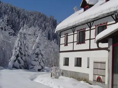 Einzelzimmer für 1 Person (16 m²) in Arriach 6/10