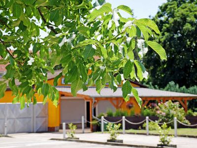 Einzelzimmer für 3 Personen (15 m²) in Aschersleben 2/10