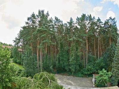 Einzelzimmer für 1 Person (23 m²) in Bad Bevensen 3/10