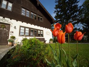 15224772-Einzelzimmer-1-Bad Feilnbach-300x225-2